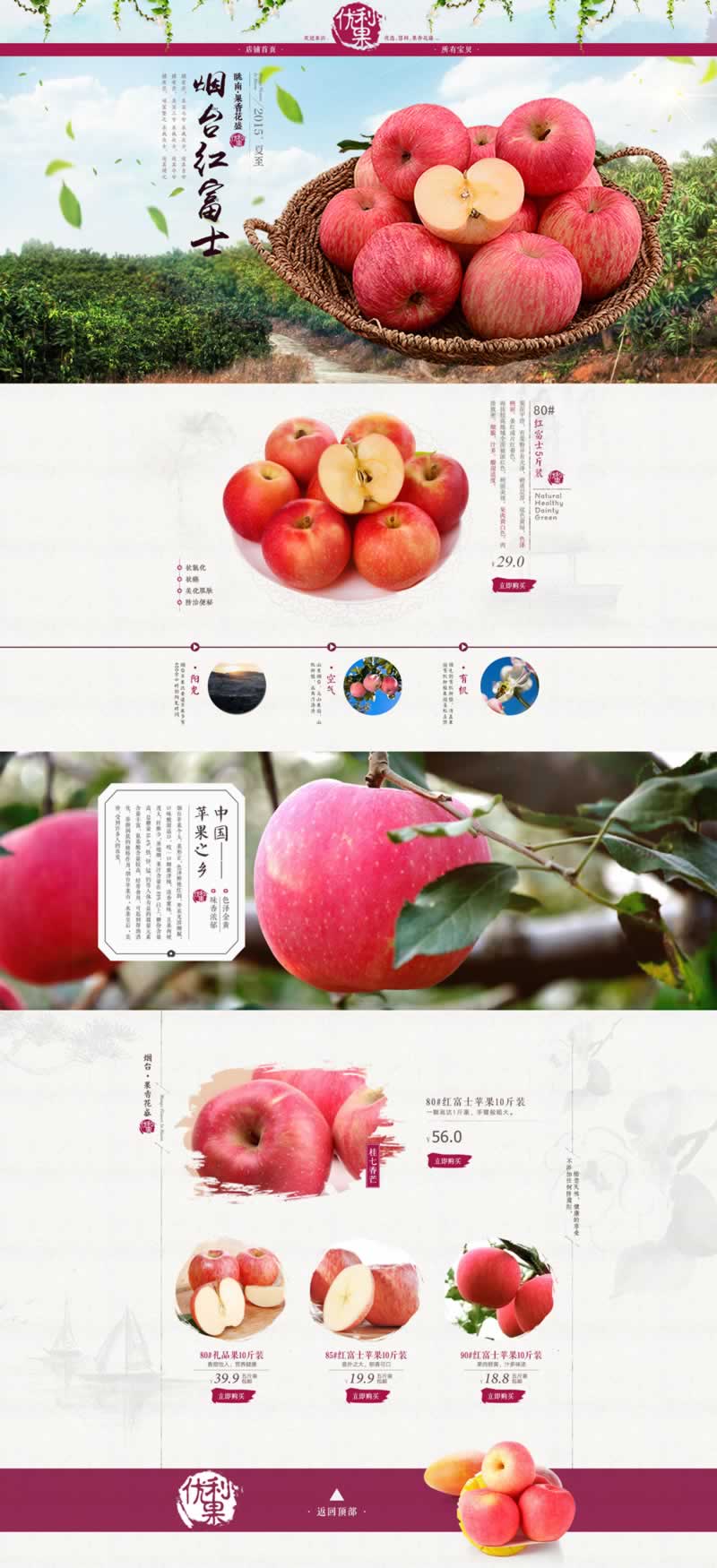 煙臺紅富士蘋果水果裝修模板